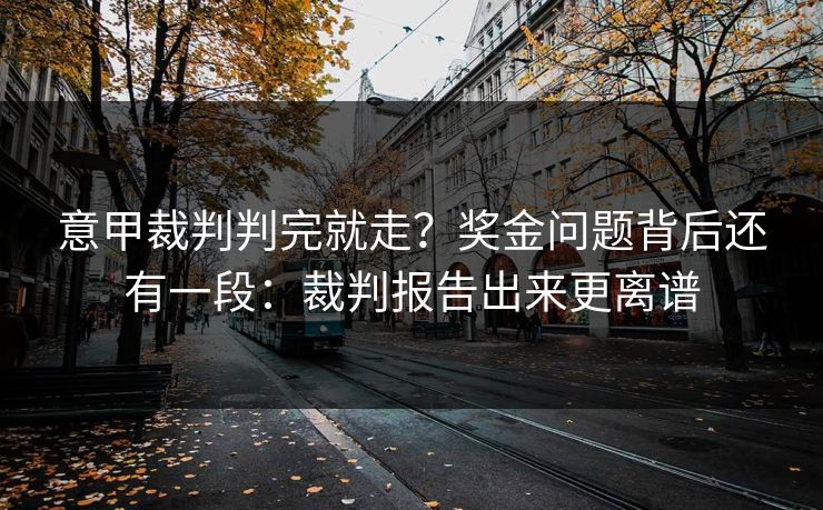意甲裁判判完就走？奖金问题背后还有一段：裁判报告出来更离谱