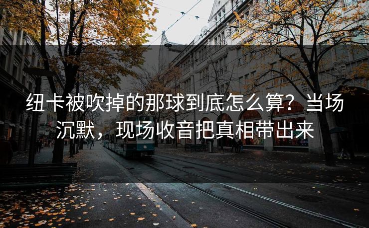 纽卡被吹掉的那球到底怎么算?当场沉默,现场收音把真相带出来