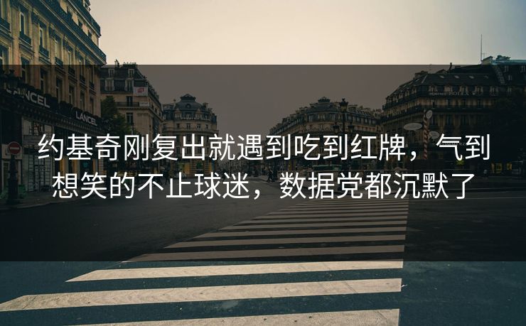 约基奇刚复出就遇到吃到红牌，气到想笑的不止球迷，数据党都沉默了