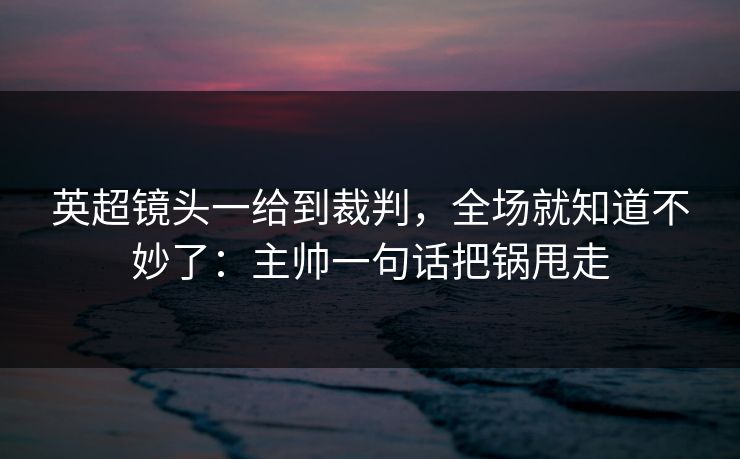 英超镜头一给到裁判，全场就知道不妙了：主帅一句话把锅甩走