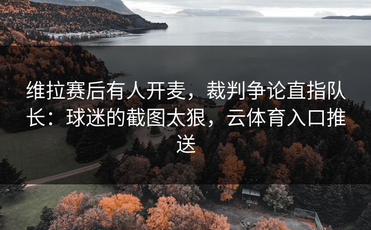 维拉赛后有人开麦，裁判争论直指队长：球迷的截图太狠，云体育入口推送