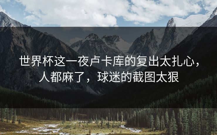 世界杯这一夜卢卡库的复出太扎心，人都麻了，球迷的截图太狠